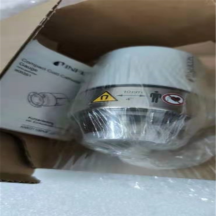 MKS DA02A.1TGAS21C00， 0.1Torr, 100攝氏度加熱，16KF